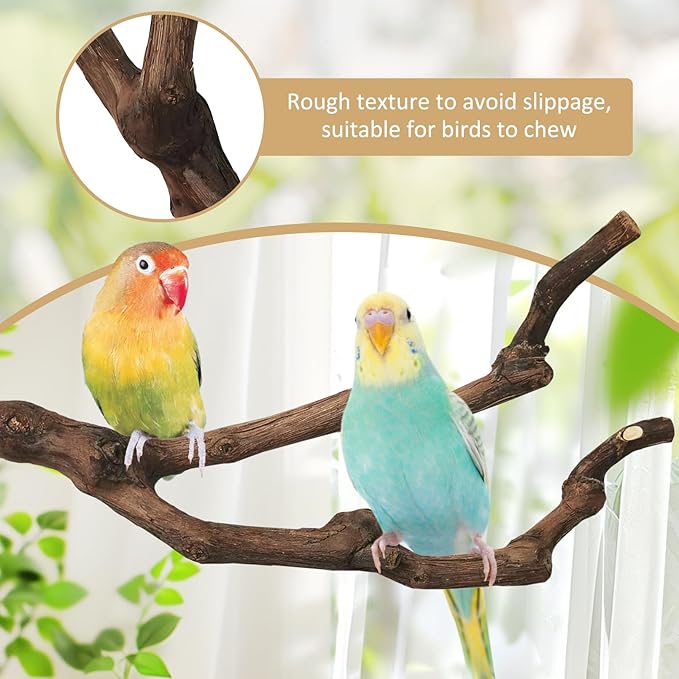 PINVNBY 3 Sizes Natural Parrot Perch Grape Wood Bird Stand Pole Parakeet Paw Grinding Fork Chewable Climbing Branches Toy Bird Cage Accessories for Budgies Conures Cockatiels Lovebirds