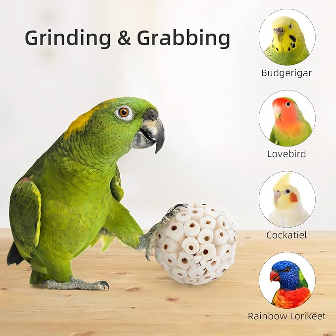 andwe Bird Toy Sola Ball - Natural Soft Chew Shredding & Foraging Toy for Cockatiel Conure Quaker Parrot Budgie Parakeet Rabbit Bunny Guinea Pig Chinchilla (Style 1 (Pack of 6))