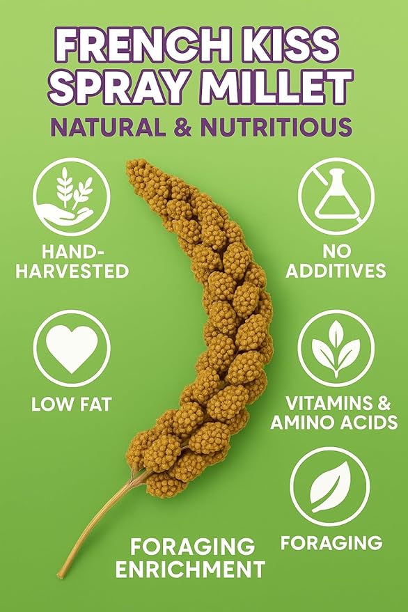 Birds LOVE French Kissed Spray Millet for Birds - Parakeets, Cockatiels, Lovebirds, Finches, Budgies, Canaries, Cockatoos - Natural & Healthy Bird Millet - Parakeet Food & Treats for all Parrots 25lbs