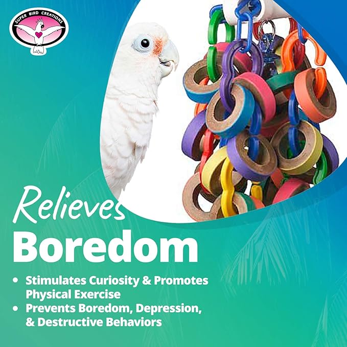 Super Bird Creations SB1107 Bagel Cascade Bird Toy, Large Bird Size, Refillable Bagels, 15” x 4.5”