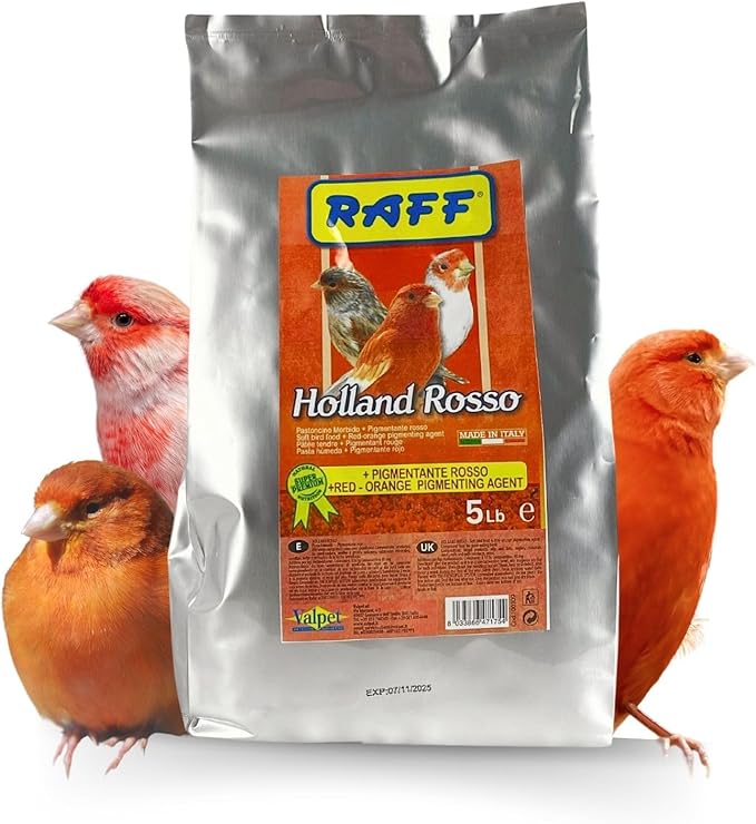 Raff Holland Rosso Canary Red Food - Comida para Canarios - Finch Food for Indoor with Natural Nutrition for Vibrant and Red Plumage, High in Protein and Fat (5lb)