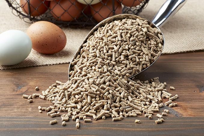 Purina Layena+ | Nutritionally Complete Layer Hen Feed | Omega 3 Formula - 10 Pound (10 lb) Bag