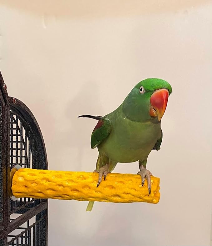 Polly's Beach Sands Nail Trimming Bird Cage Perch for Parakeets, Cockatiels, Amazons, Grays, Cockatoos, Macaws, eclectus and Many Other Birds (Medium, Gold)