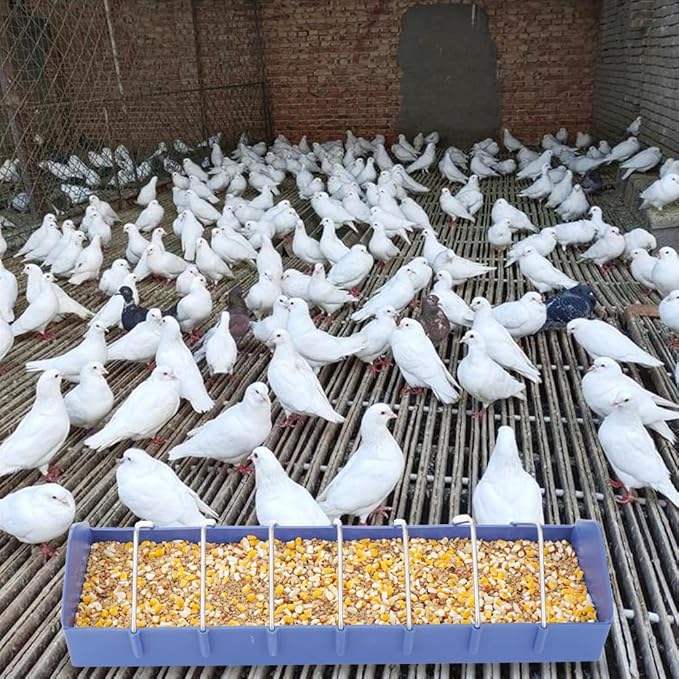4 Pack Large Pigeon Feeder 8 Slot Thick Durable Container Feeding Dish Food Dispenser Tool for Bird Parrot Pigeon Chicken Duck Bird Poultry