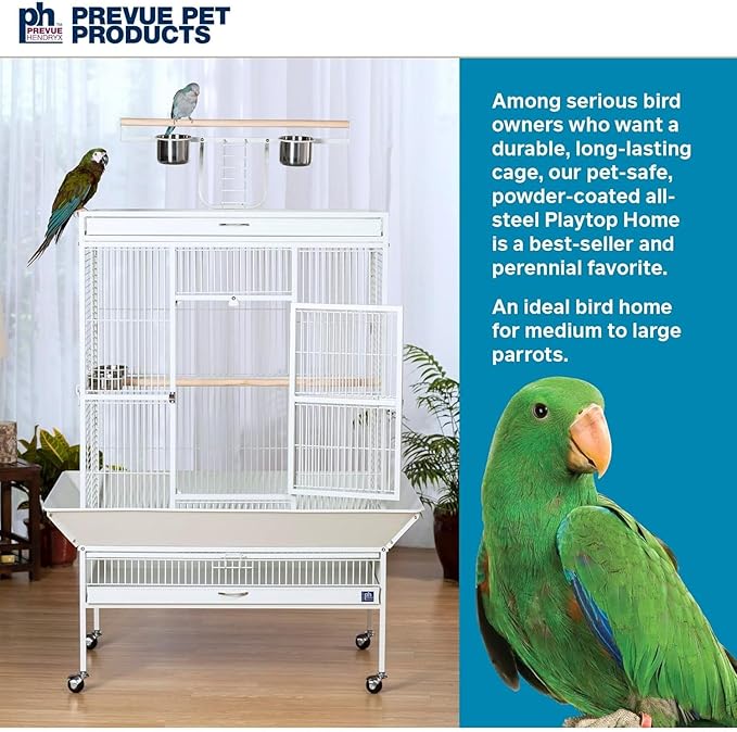 Prevue Pet Products Wrought Iron Select Bird Cage 3154C, Chalk White, 36-Inch by 24-Inch by 66-Inch