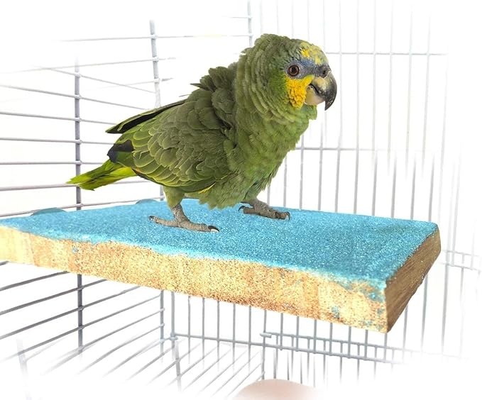 Bird Parrot Perch Stand Platform Natural Wooden Coarse Sand Grinding Claw Stand Suitable for Parrot Parakeet Cockatiel Budgie Conures Lovebird Finch