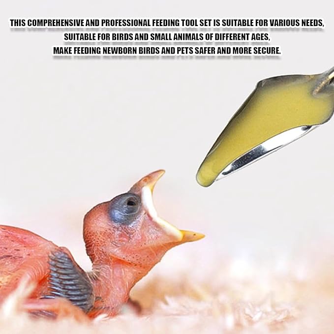 Bird Feeding Syringe Set,Parrot Syringe Feeder with Feeding Spoon and Tubes,Baby Bird Feeding Syringe Manual Tools for Pigeons Parrots Small Animals Feed Liquid Milk Medicine (Clear 1ML+2.5ML+5ML)