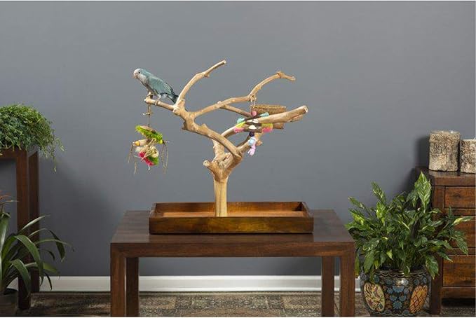 Prevue Pet Products Coffeawood Java Tree Minis Medium Table Top Playstand 22634, 22.5" L x 14.5" W x 24.0" H