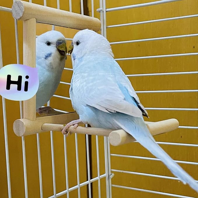 Hamiledyi Bird Mirror Parakeet Mirror Perch Stand Wooden Swing Mirror Toy Cage Accessories for Parrots Budgies Parakeets Cockatiels Lovebirds Finches
