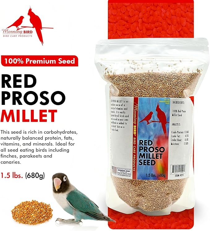 Morning Bird Red Proso Millet 1.5 lbs – Natural Bird Seed – Supports Feather Growth & Balanced Nutrition – Great Flavor, Energy Dense - Ideal for Finches, Parakeets & Pet Birds