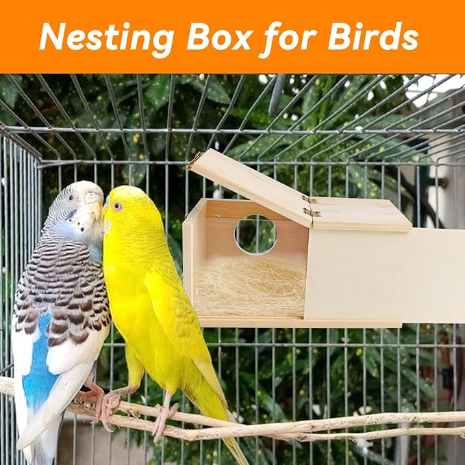 PINVNBY Acrylic Parakeet Nesting Box,Transparent Bird Breeding Box with Detachable Wooden Board Visual Cockatiel House for Budgie Lovebird Conure Parrot (S)