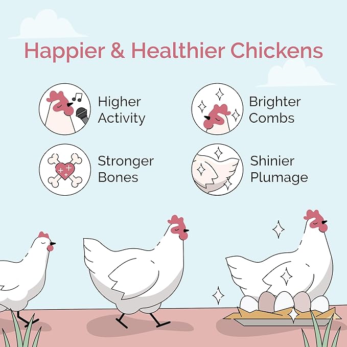 Mile Four Organic Chicken Feed (46 lbs) Layer Mash, Non-GMO, USA Grown, 16% Protein, Corn-Free, Soy-Free, Non-Medicated Feed for Chickens