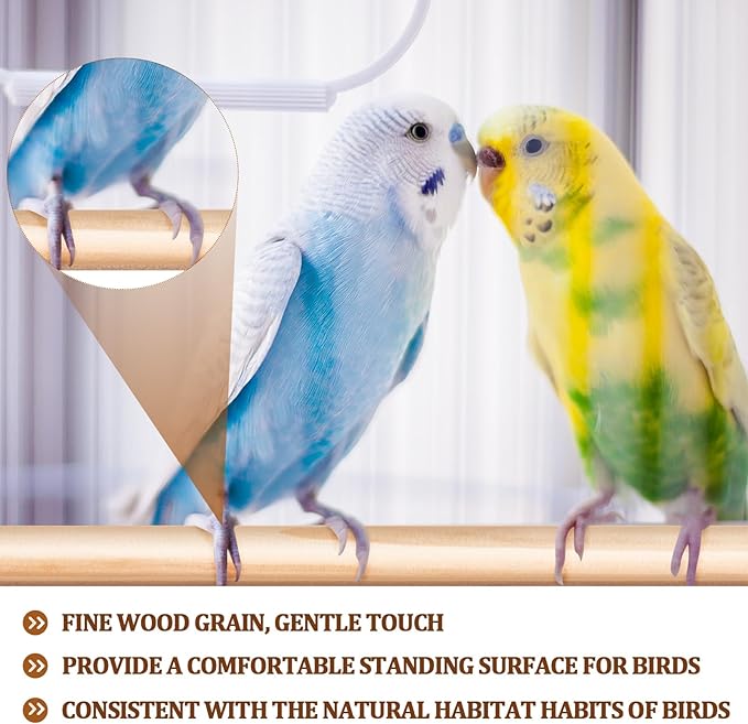 Sintuff 8 Pcs Bird Perches for Cage Accessories, Wooden Perch Rods Replacement with Double Head Slots, 0.6 Inch Diameter Natural Wood Stand for Parrot Macaw Cockatoo Parakeet (30 Inches)