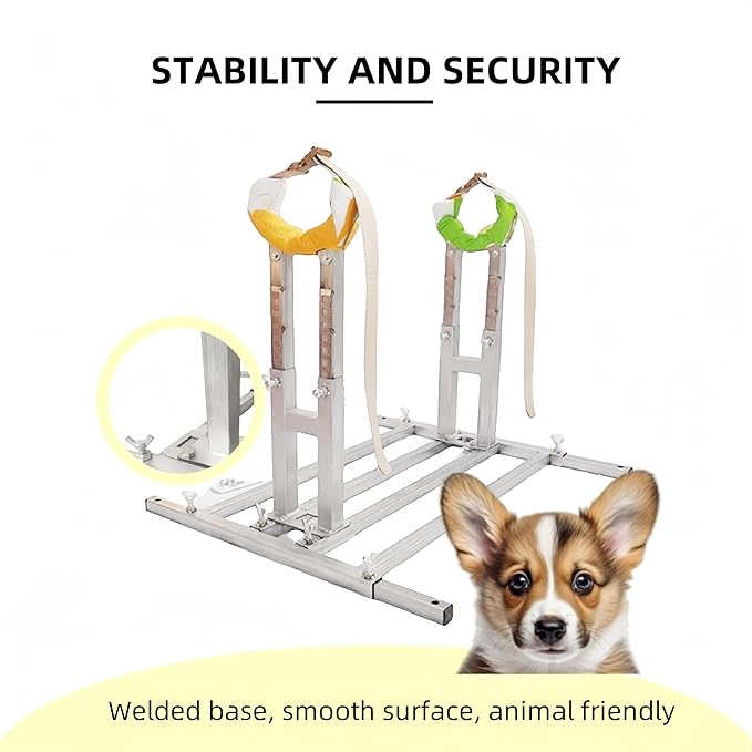 Dog Breeding Stand(Multi-Specification) Adjustable Height and Length,Stainless Steel Dog Breeding Stand,Disabled Dog Stand up (SLIVER,L)