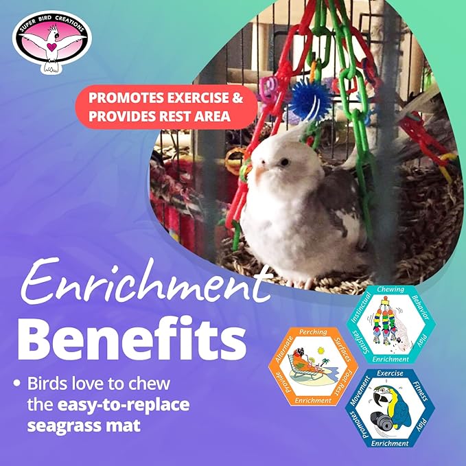 Super Bird Creations SB748 Flying Trapeze Bird Toy for Conures, Quakers, Cockatiels, Parrots, Senegals, Multi-Colored Chain, Seagrass Mat, Enrichment Toy - Medium Bird Size, 14" x 13" x 12"