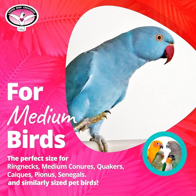 Super Bird Creations SB573 Basket Case Bird Toy - Ringnecks, Cockatiels, Parakeets, Parrots - Foraging Bird Toy with Colorful Paper Shred, Vine Stars, & Wooden Beads - for Medium Bird Size - 10" x 4"