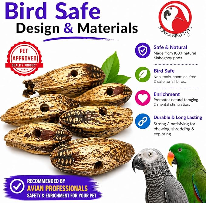 Bonka Bird Toys 3410 Drilled Mahogany Pods Shreddable Foraging Bird Toy with Natural Materials Hanging Cage Toy 9" for Small to Medium Parrots Budgie Cockatiel Conure Chewing Enrichment (Pack of 12)