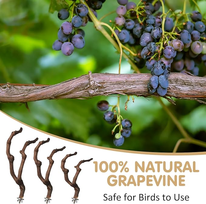 PINVNBY 3 Sizes Natural Parrot Perch Grape Wood Bird Stand Pole Parakeet Paw Grinding Fork Chewable Climbing Branches Toy Bird Cage Accessories for Budgies Conures Cockatiels Lovebirds