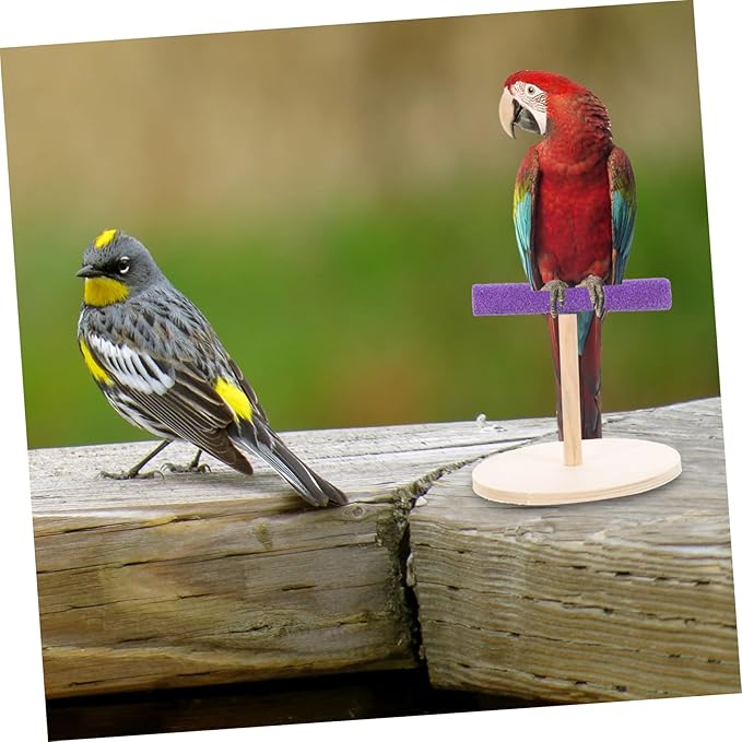 VANZACK Decorative Parrot Perch Platform Natural Wooden Bird Stand for Parrots Parakeets Sturdy Durable Accessory to Enhance Pet Environment and Curiosity