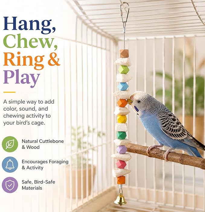 2 Pack Bird Toys with Cuttlebone, Parakeet Toys for Cage, Beak Grinding Stone and Cuttlefish Bone Chew Toys for Budgies, Cockatiels, Lovebirds, Green Cheeks, Conures, Small to Medium Birds