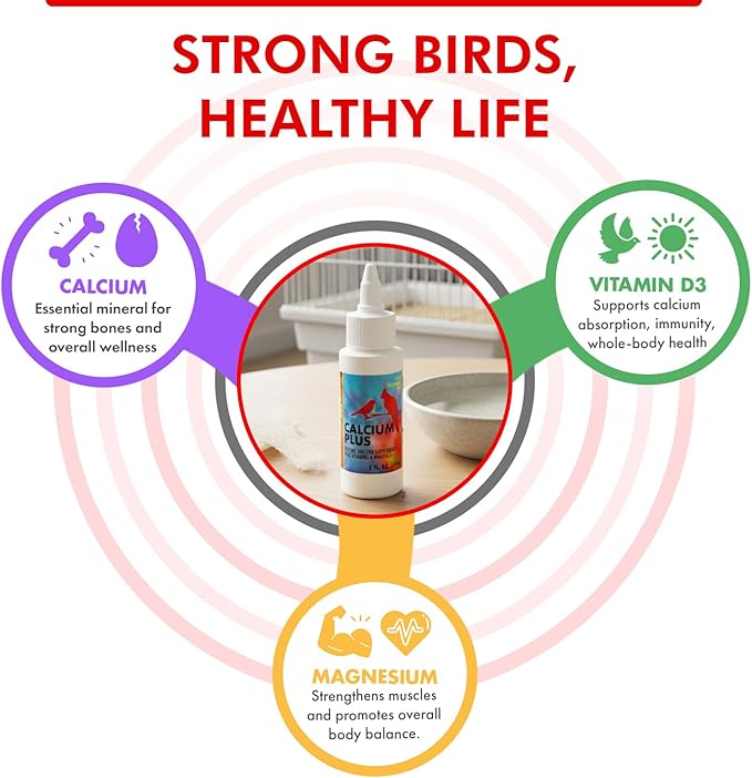 Morning Bird Calcium Plus Liquid for Birds – Calcium Supplement with Vitamins and Minerals for Strong Eggshells, Healthy Bones - Support Growth, Breeding, and Wellness for All Birds 2 Fl Oz