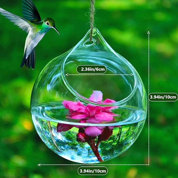 Hummingbird Feeder Transparent Hanging Hummingbird Feeder Glass Birdfeeder 3.9x3.9inch Feeders for Outdoors Garden Yard, No Hanging Rope, Ornements de Jardin