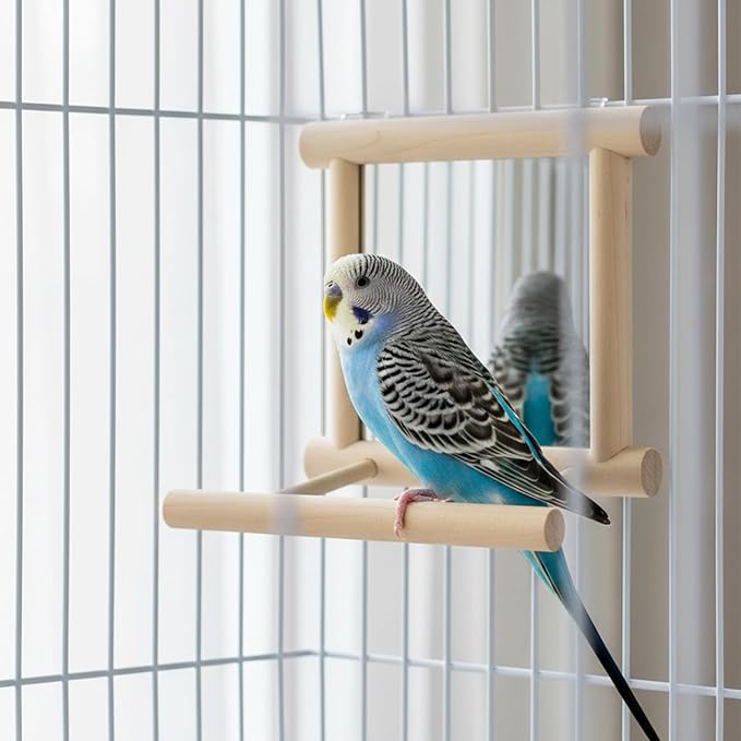 Hypeety Bird Parrot Mirror Toy Swing Hanging with Perch for Parrot Parakeet Budgies Cockatiel Conure Finch Lovebird (D)