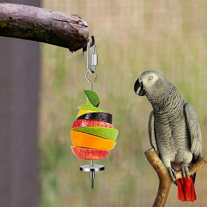 4 Pcs Stainless Steel Parrot Treat Holder, Food Skewer, Bird Fruit and Vegetable Kebab, Meat Stick, Parrot Cage Feeder, Hanging Basket