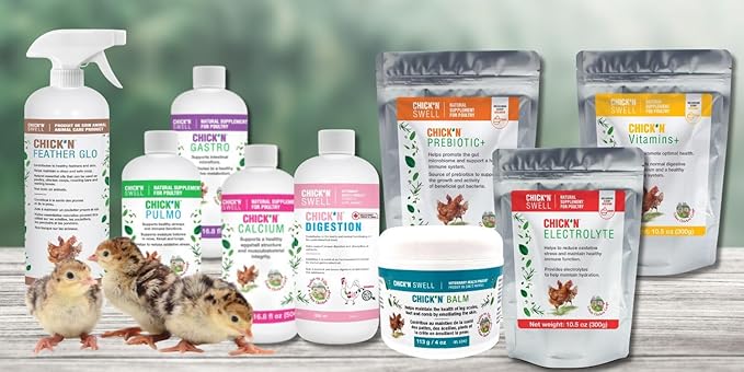 Poultry Digestion-Chick'n Gastro for All Poultry of All Ages. from Chick'N Swell Brand- Designed to Support Proper intestinal Health and Prevent Problems. 16.8 fl oz