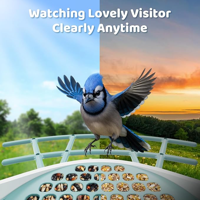 Smart Bird Feeder with Camera – 2K HD, Free Lifetime AI Bird Identification, Solar Powered, Motion Alert, 2.4GHz WiFi, Dual Seed Compartments – Outdoor Bird House Camera for Bird Lovers