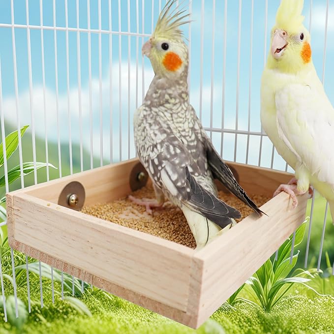 Bird Cage Accessories, Wooden Food Dish for Small to Medium Birds, Bird Feeder for Cage, Food Bowl for Budgie, Cockatiel, Lovebird, Conure, Parakeet, Canary, Kakariki