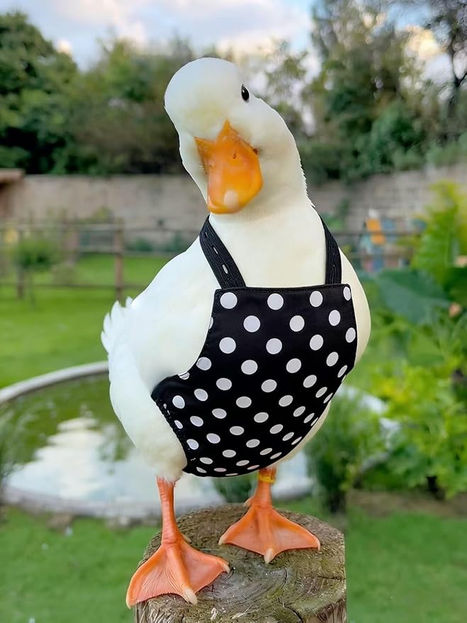 2 Pack Chicken Diapers for Hens, Roosters, Diapers for Ducks, Ducklings, Reusable Pet Diaper with Bow Ties Waterproof Poultry Nappies for Geese Pet Ducks-Red&Black Polka,L