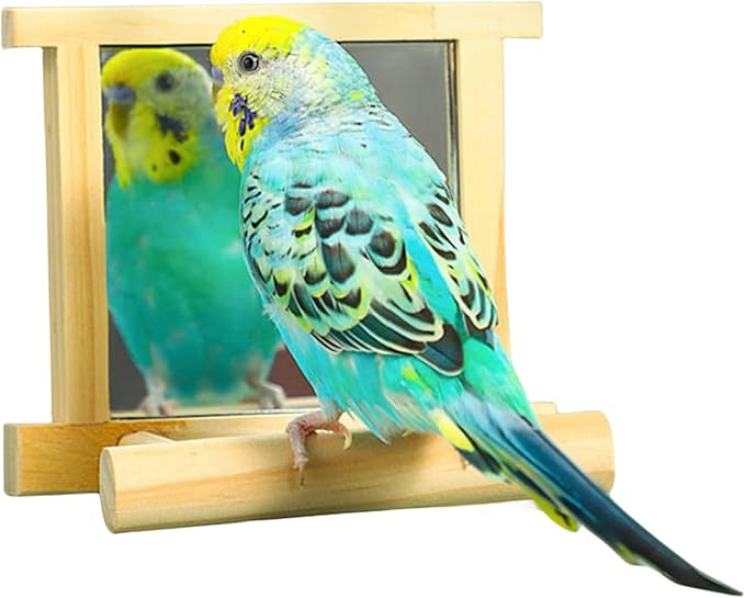 Natural Wood Bird Stand with Mirror, Perch and Swing Toy for Parakeets, Hummingbird, Lovebirds and Cockatoos (1 Pack)