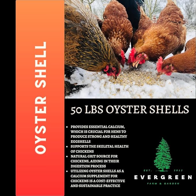 Evergreen Farm and Garden 50 lb Bag Oyster Shell - Calcium Rich Bird Grit (50 Pound (Pack of 1))