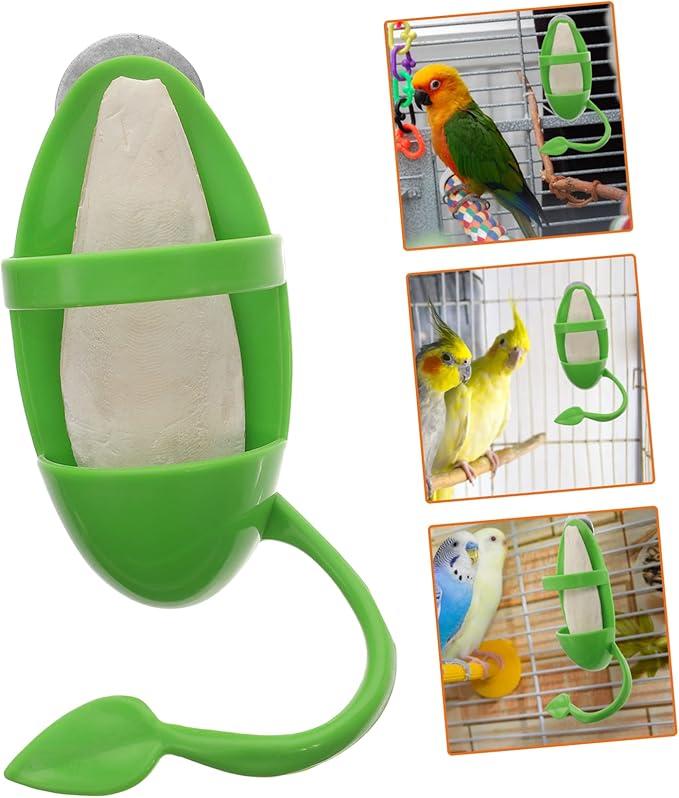 BESPORTBLE 1set Cage Bird Feeder Cuttlebone Stand Bird Cage Accessories for Parrots Snails and Pets Safe Non- Design for Easy Feeding and Entertainment