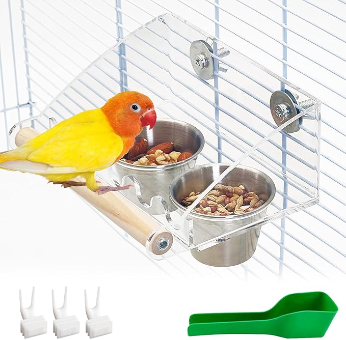 BNOSDM Bird Feeder for Cage with Double Stainless Steel Food & Water Bowls Anti-Slip Wood Perch Stand with No Mess Acrylic Seed Catcher for Parrot, Budgie, Parakeet, Lovebird, Canary, Finch,Conure