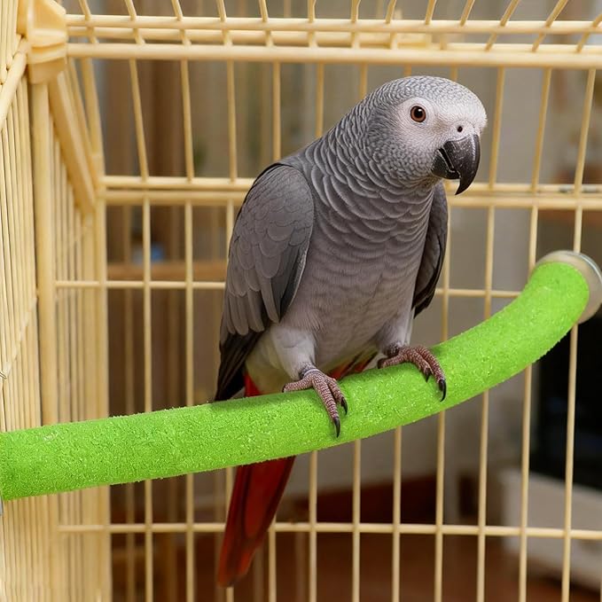 Rypet Parrot Perch Stand Toy Used for Cage Corner for Paw Grinding Clean Stick Exercise, Rough-Surfaced Quartz Bird Perch Standing Cage Accessorie for for Small Parakeets Cockatiel Conures (Green XL)