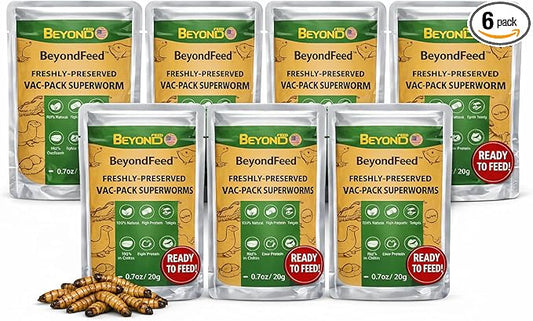BeyondFeed™ USA Grown Freshly Preserved Vac-Pack Feeder Insects – Ready-to-Feed Protein Treats for Reptiles, Birds, Fish & Aquatic Turtles (Fresh Superworm-6 Pack Bundle 120g/ 4.23oz)