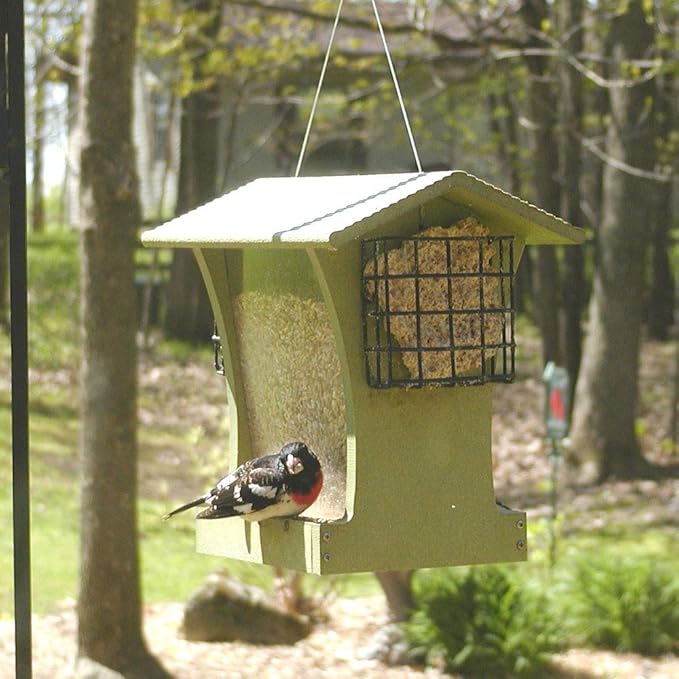 Birds Choice GSHF300S Tall Hopper Feeder with Suet Cages, Recycled Hanging Bird Feeder, 5 Quarts, Green