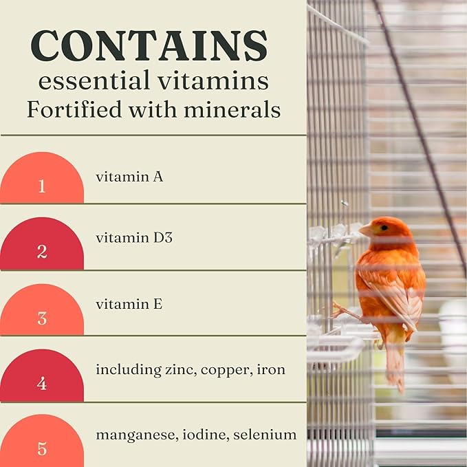 Raff Holland Rosso Canary Red Food - Comida para Canarios - Finch Food for Indoor with Natural Nutrition for Vibrant and Red Plumage, High in Protein and Fat (5lb)