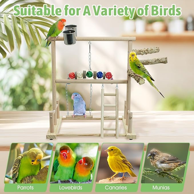 kathson Bird Play Stand Parrot Perch Stand Natural Wood Bird Playground Playstand for Cockatiel Conures Parakeet Parrots Budgie Lovebird Finch Small Birds