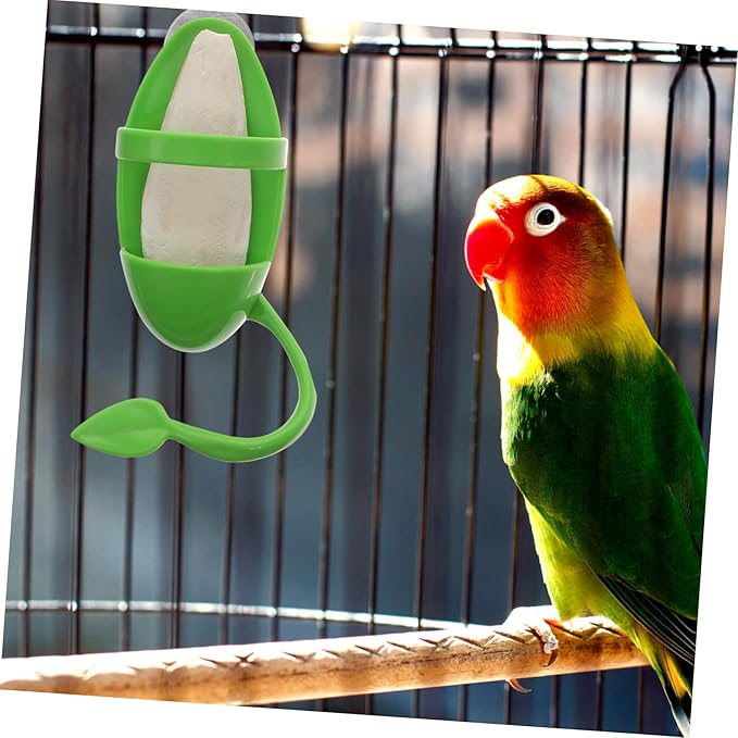 UKCOCO 3-Piece Parrot Cuttlebone Stand Bird Feeding Rack Vegetable Holder Budgie Food Bowl and Cuttlefish Bone for Snails Bird Cage Accessories