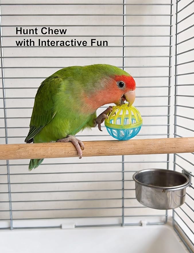 12 Pack Bird Toys, Colorful Chew Bells Balls, Safe Foot Toys for Small Medium Birds, Parakeets Cockatiels