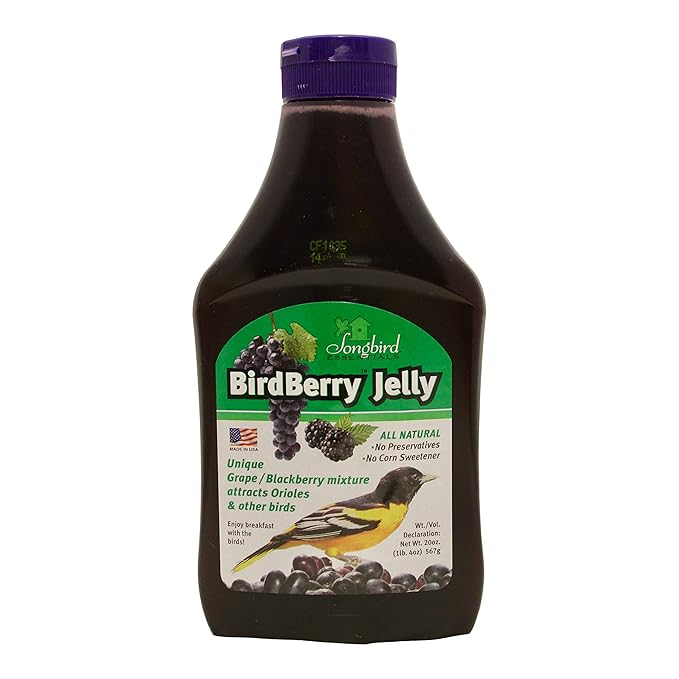 Songbird Essentials 20 Ounce BirdBerry Jelly Squeeze Bottle Bird Feeder Jelly, Grape and Blackberry Jelly Made Just for Birds [Pack of 3]