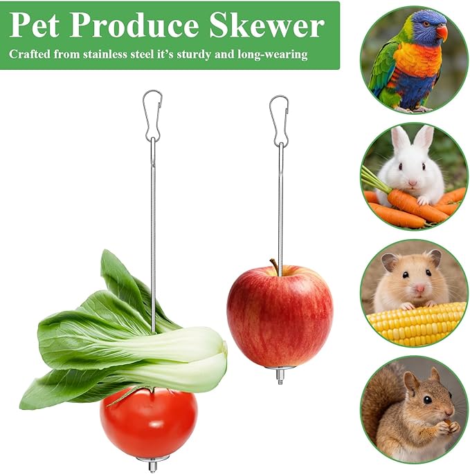 4PCS Bird Cage Food Holder, Stainless Steel Bird Feeder for Cage with Hook, 22cm/17cm Parrot Fruit Skewers, 2 Sizes Hanging Foraging Toy for Macaw Parakeet Parrot Budgie