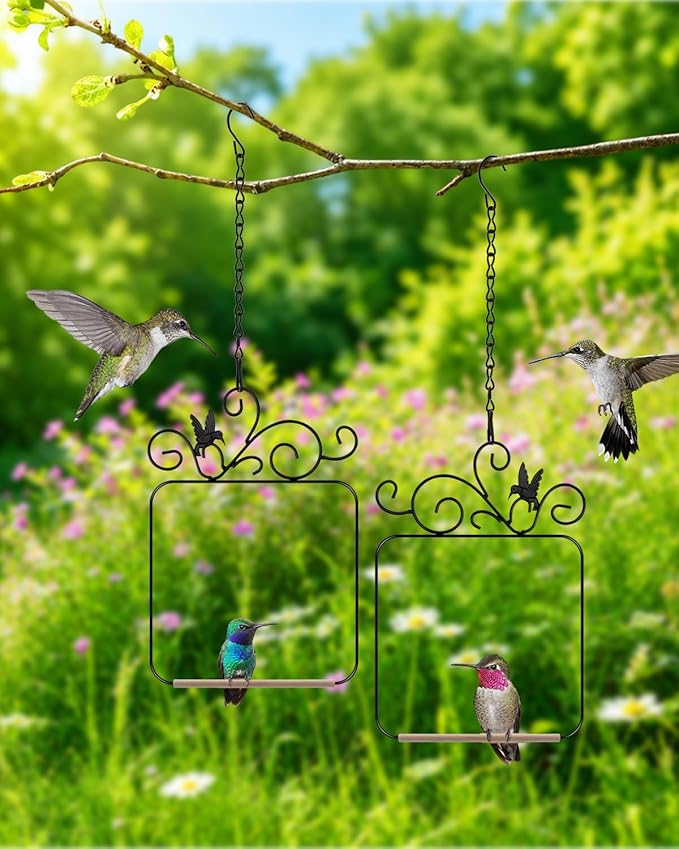 PACETAP Hummingbird Swings and Perches Metal Frame 2 Pack, Wild Bird Swing Outdoor Bird Perch with Wooden Dowel and 2 Hanging Chain for Hanging Indoor, Outdoor, Trunk, Lawn, Patio, Garden (Black)