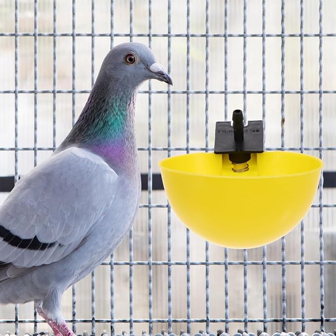 Ipetboom 10Pcs Automatic Bird Water Dispenser Small Pigeon Feeder Quail Chicken Cage Waterer Practical Pet Drinking Bowl 3.54X3.14X1.57In