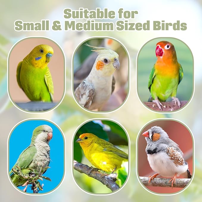 BNOSDM Wooden Bird Foraging Toys with Enrichment Puzzle for Training & Chewing Natural Wood Stand Platform Feeder Cage Accessoriesfor Small and Medium Parrots, Parakeets, Cockatiels, Sun Conures