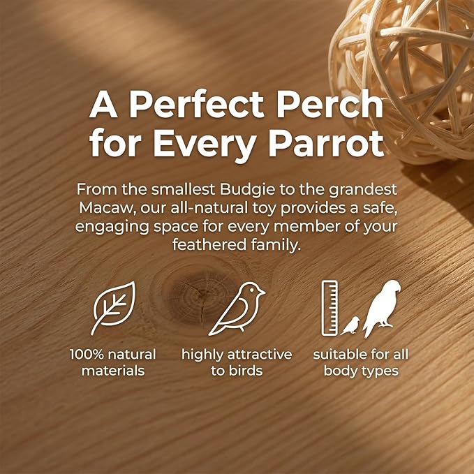 Bird Swing Bird Toys Parrot Toys Parakeet Toys Bird Cage Accessories for Budgerigar, Parakeet, Conure, Cockatiel, Mynah, Love Birds, Finches (A)