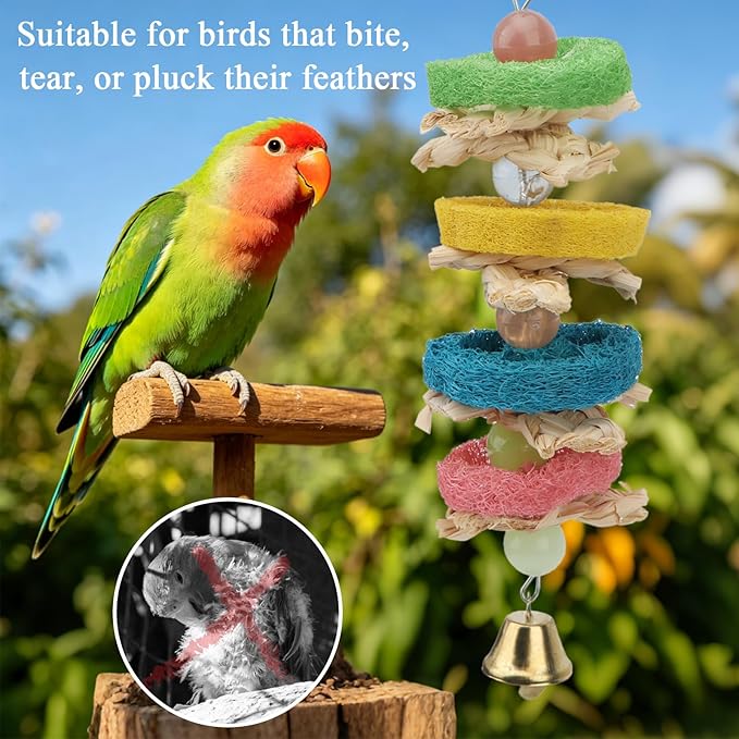 Hypeety Pet Bird Parrot Swing Chewing Toy Natural Sepa Takraw with Happy Twist Colorful Bead Swing Bell